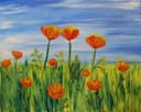 Orange California Poppies thumbnail view