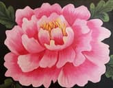 Pretty Peony thumbnail
