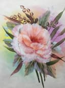 Majestic Poppy thumbnail view