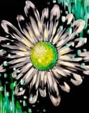 Splash of Spring thumbnail view