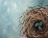 Nesting Home thumbnail