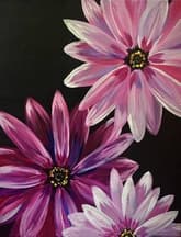 Purple Daisy Blooms thumbnail