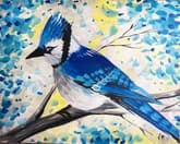 Blue Jay thumbnail
