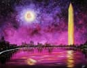 Starry DC Night thumbnail view