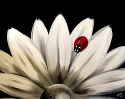 Spot of Red thumbnail