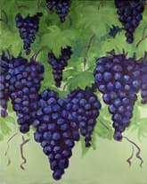 Grapes thumbnail