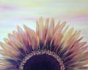 Blooming Sunflower thumbnail view