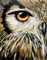 Autumn Owl Gaze  thumbnail
