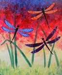 Rainbow Dragon Flies thumbnail view