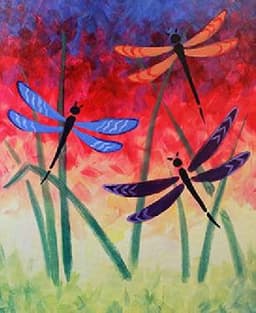 Rainbow Dragon Flies thumbnail