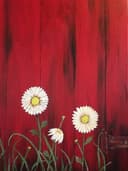 Red Barn Daisies thumbnail view
