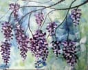 Dripping Wisteria thumbnail view