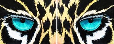 The Roar (Partner Painting) - Paint and sip event at Sports On Tap in Saskatoon, SK - PaintNite.com