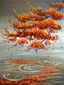 Sugar Maple Reflection thumbnail view