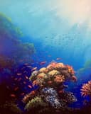 Ocean Reef thumbnail view