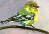 Pretty Bird thumbnail