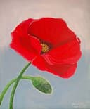 Remember Me Poppy thumbnail view