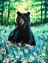 Black Bear Meadow thumbnail