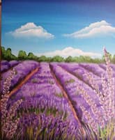 Lavender Farm thumbnail