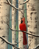 Wp Birch Perch thumbnail view