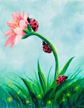 Lady Bug Daisy  thumbnail