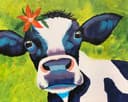 Suspicious Cow II thumbnail view