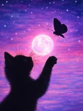 Chasing Light thumbnail