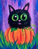 Pumpkin Cat thumbnail view