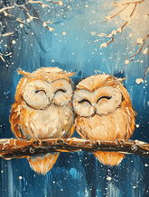 Owl Love  thumbnail