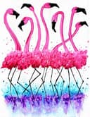 Flamingo Fête thumbnail view