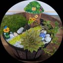 Fairy house thumbnail view