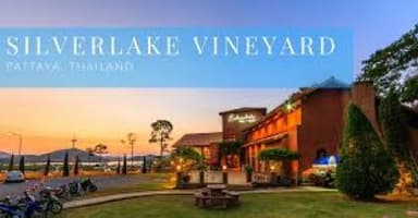 Silver Lake Winery - PaintNite event location