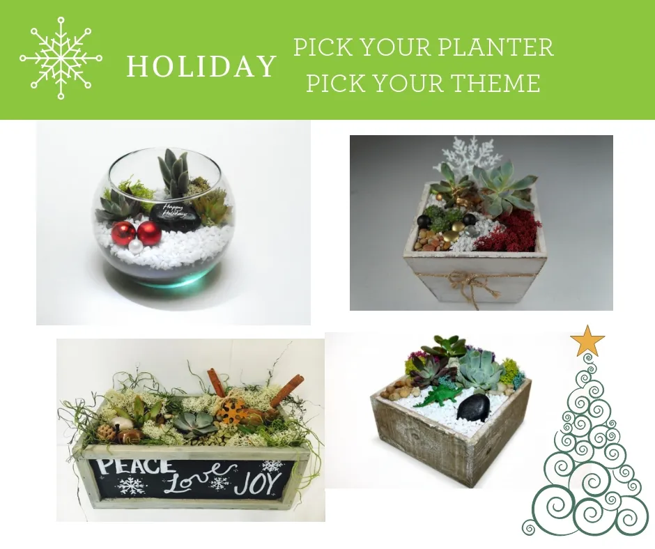 Holiday Pick Your Planter