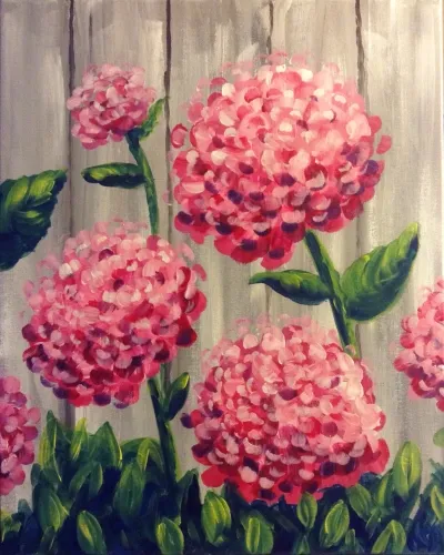 Hey, Hey, Hydrangeas