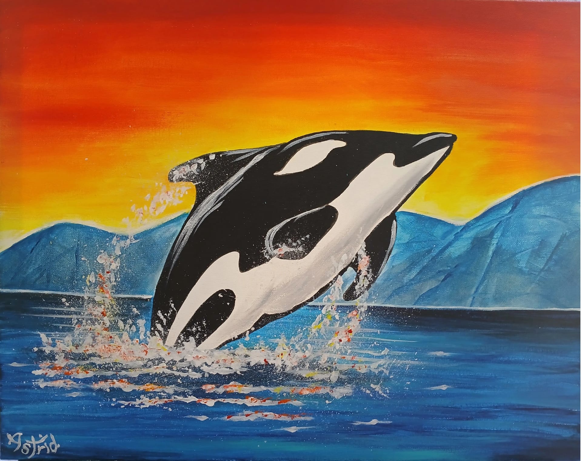 Orca Whale Breach