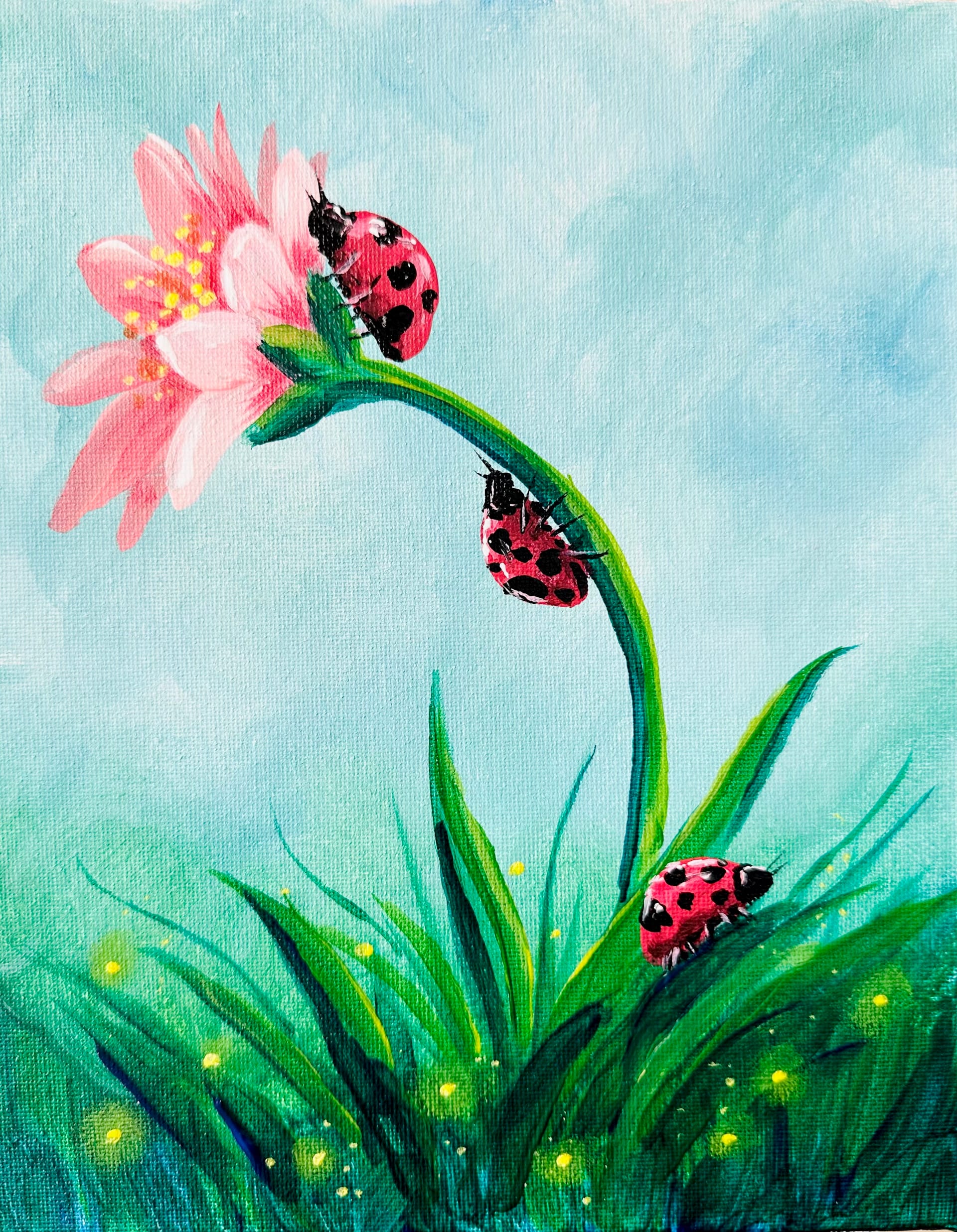 Lady Bug Daisy 