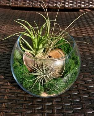 Danelle Platt shop logo