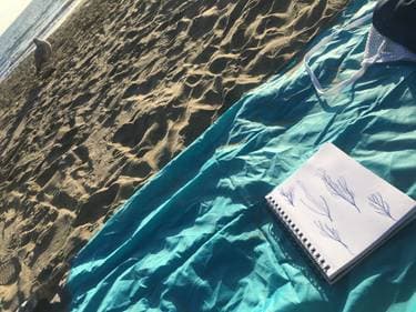 Serena Baker shop logo