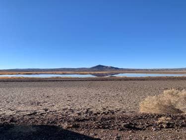 Grace Chapman shop logo