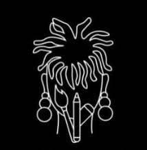 Khadija Willis profile photo