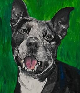 Leslie Shields profile photo