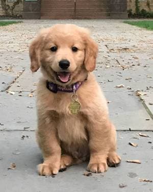 Yogita Gaikwad PC - PaintNite artist profile image