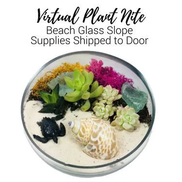 Virtual Plant Nite- Beach Glass Slope- Supplies Shipped to Door — Painting