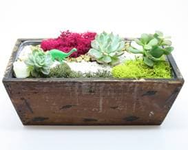 Succulent Terrarium in Brown Wood Rectangle Planter - Paint and sip event at Appalachian Brewing Company - Mechanicsburg in Mechanicsburg, PA - PaintNite.com