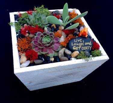 WHITE WASHED WOOD TERRARIUM - Paint and sip event at La Terraza in Sacramento , CA - PaintNite.com