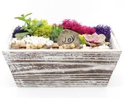 Distressed Wood Succulent Planter Terrarium with Wish Rock thumbnail