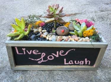 Chalkboard Wood Terrarium - Paint and sip event at Campmor Retail Store in PARAMUS, NJ - PaintNite.com