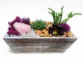 Distressed Wood Succulent Terrarium Rose Quartz Crystal thumbnail