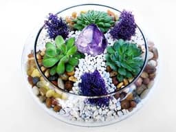 Glass Lily Bowl Succulent Terrarium W/River Rocks and Amethyst Crystal thumbnail