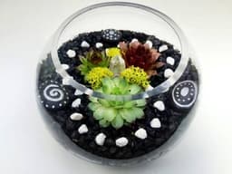 Glass Rose Bowl Succulent Terrarium W/Decor Rocks and Clear Quartz Crystal thumbnail